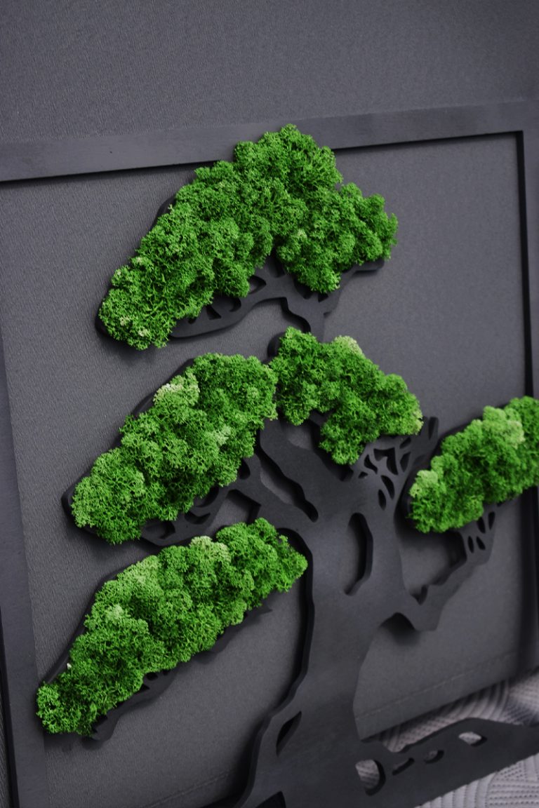 moosbild-bonsai-design-handgefertigt