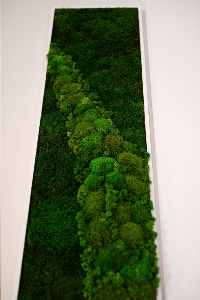 moosbild-120x30cm-rechteckig-handgemacht-wanddeko-aus-moos